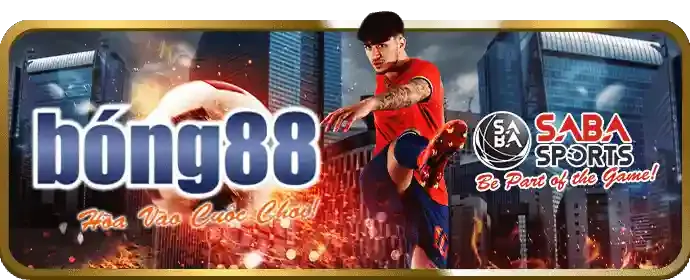 Hình ảnh cá cược thể thao tại Xibet